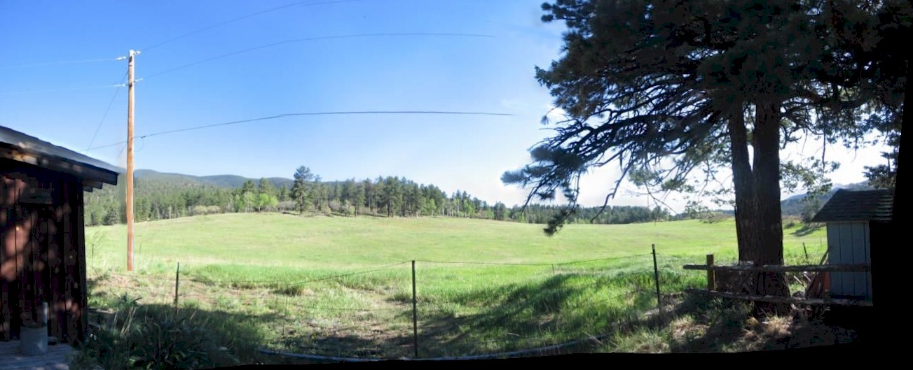 Meadow behind Robert's Cabin